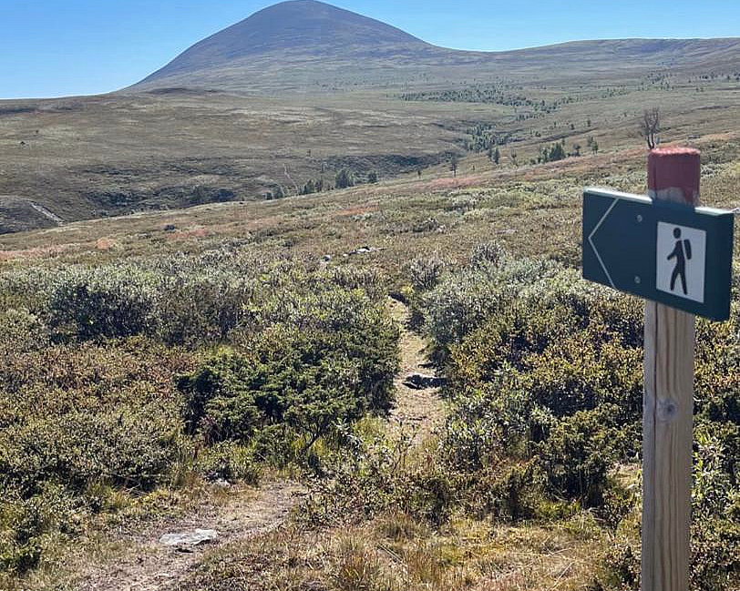 Gresskledd landskap med en sti mot en fjelltopp under en blå himmel, og en trestolpe med et grønt turskilt som peker til venstre i forgrunnen.
