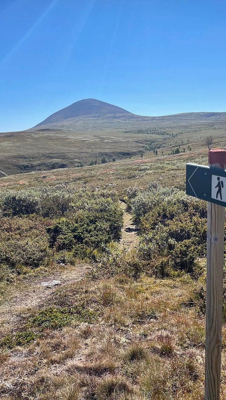 Gresskledd landskap med en sti mot en fjelltopp under en blå himmel, og en trestolpe med et grønt turskilt som peker til venstre i forgrunnen.