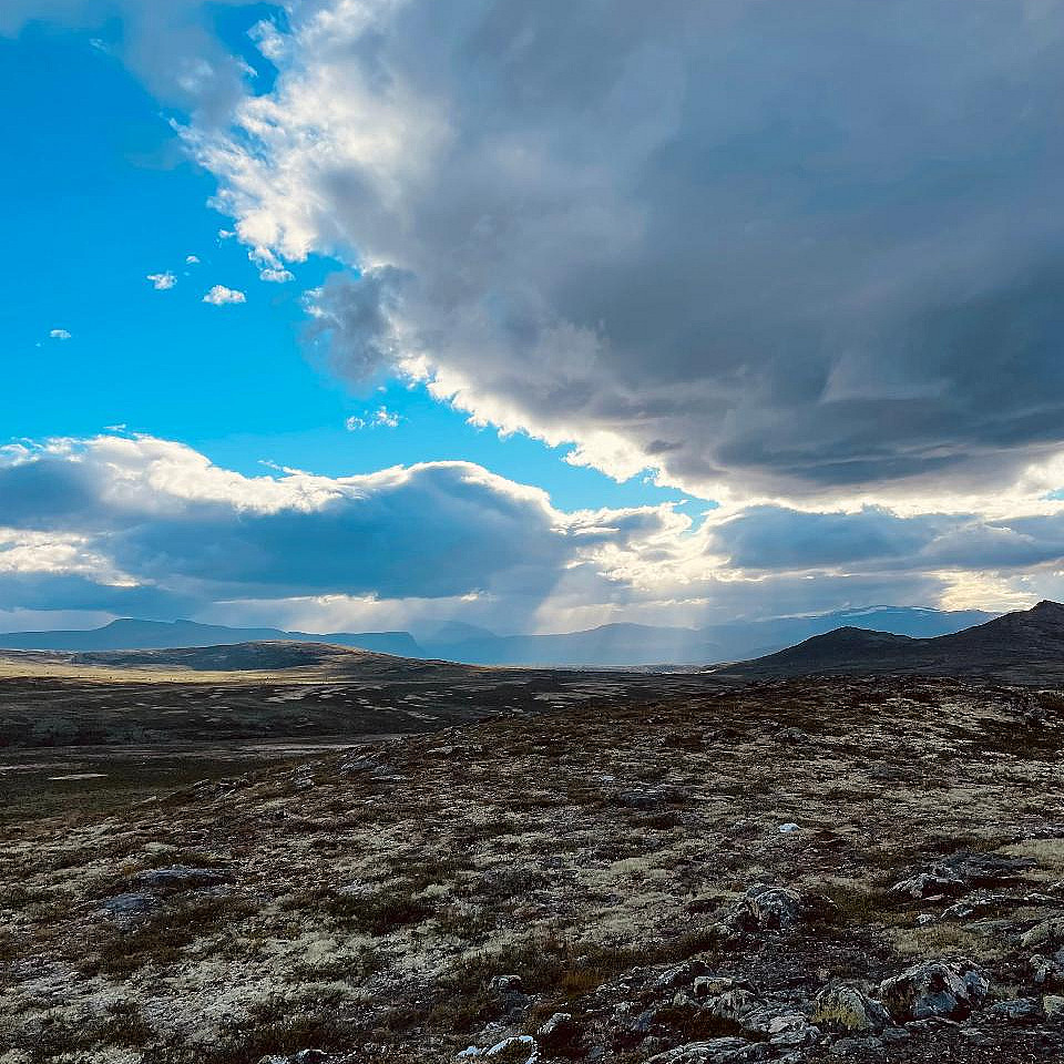 Guidet hiking tour til Geitefjellet