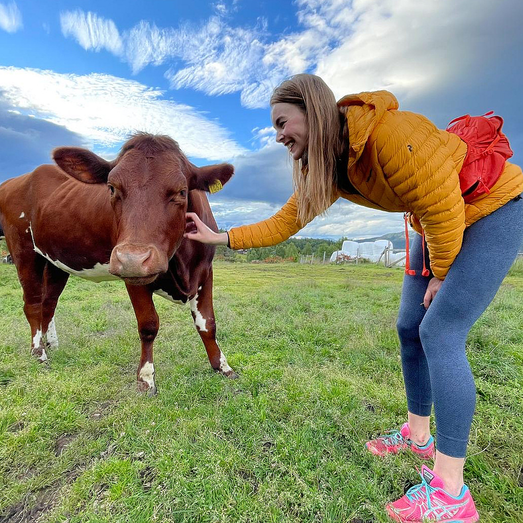 Guidet hiking tour til Geitefjellet