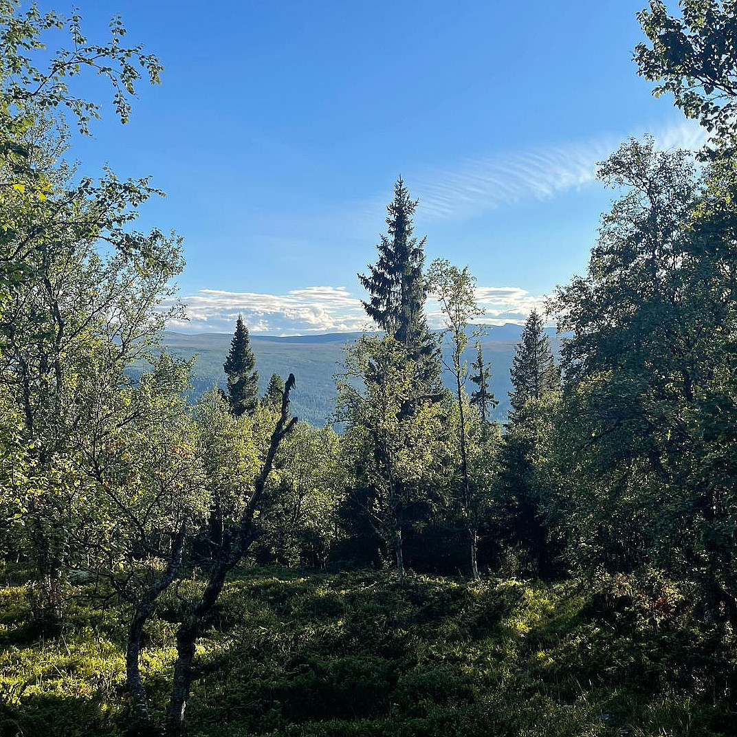 Guidet hiking tour til Geitefjellet