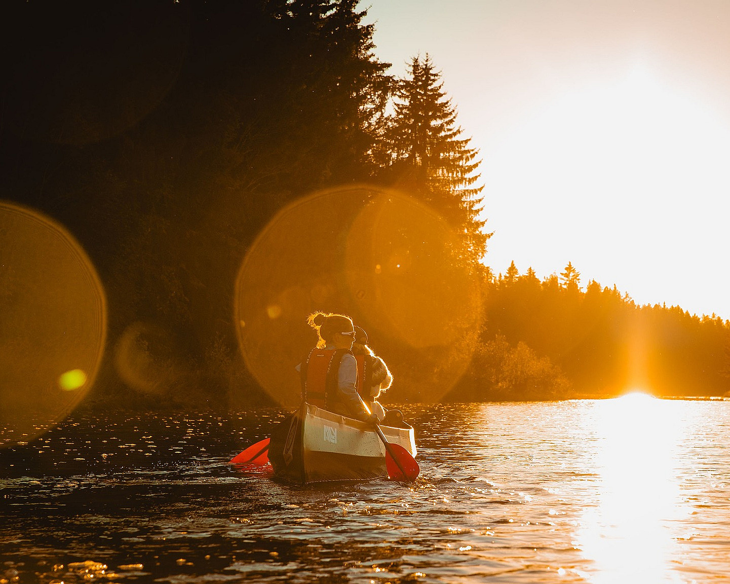 Beversafari for familien