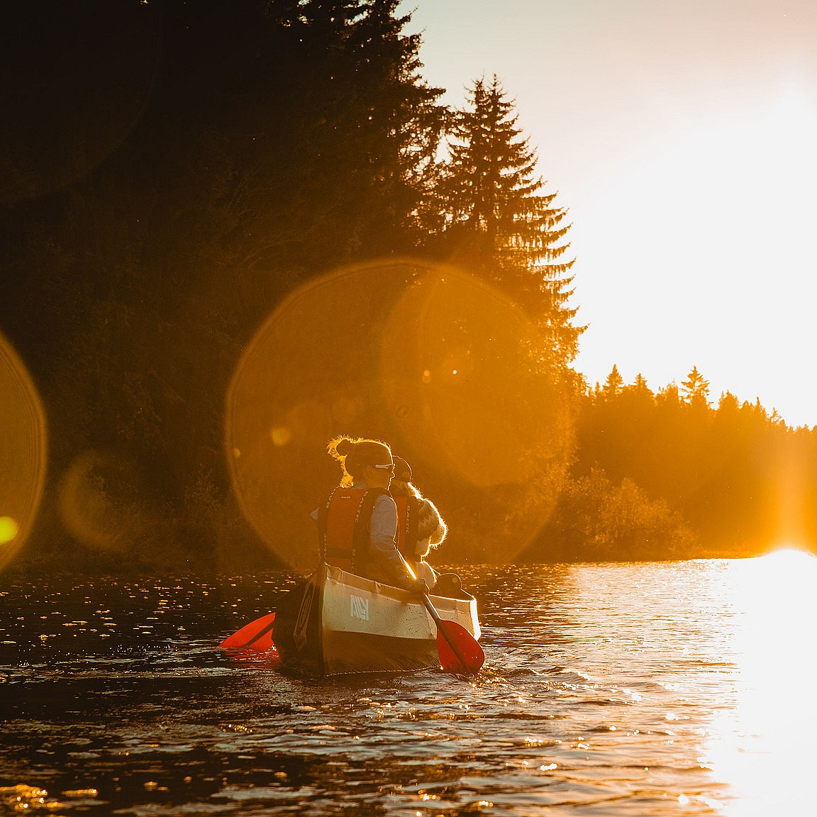Beversafari for familien