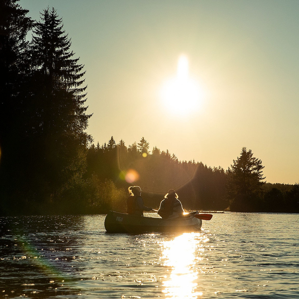 Beversafari for familien