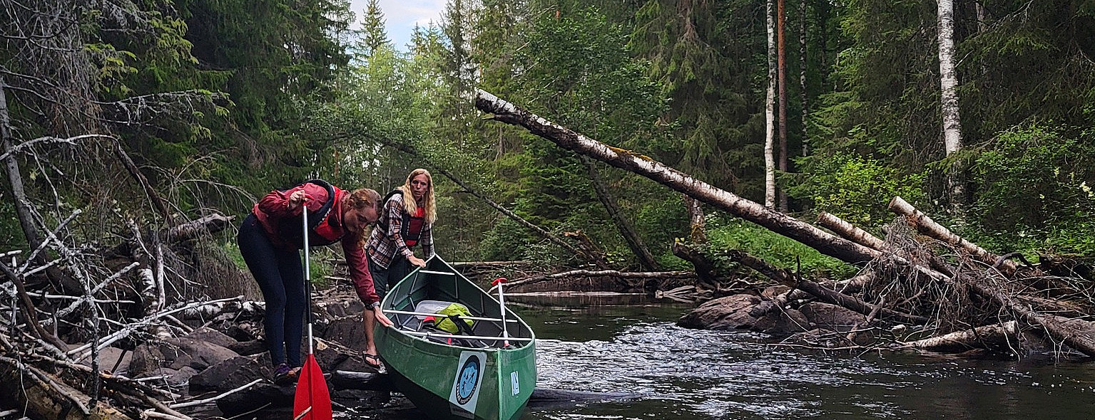 Beversafari for familien