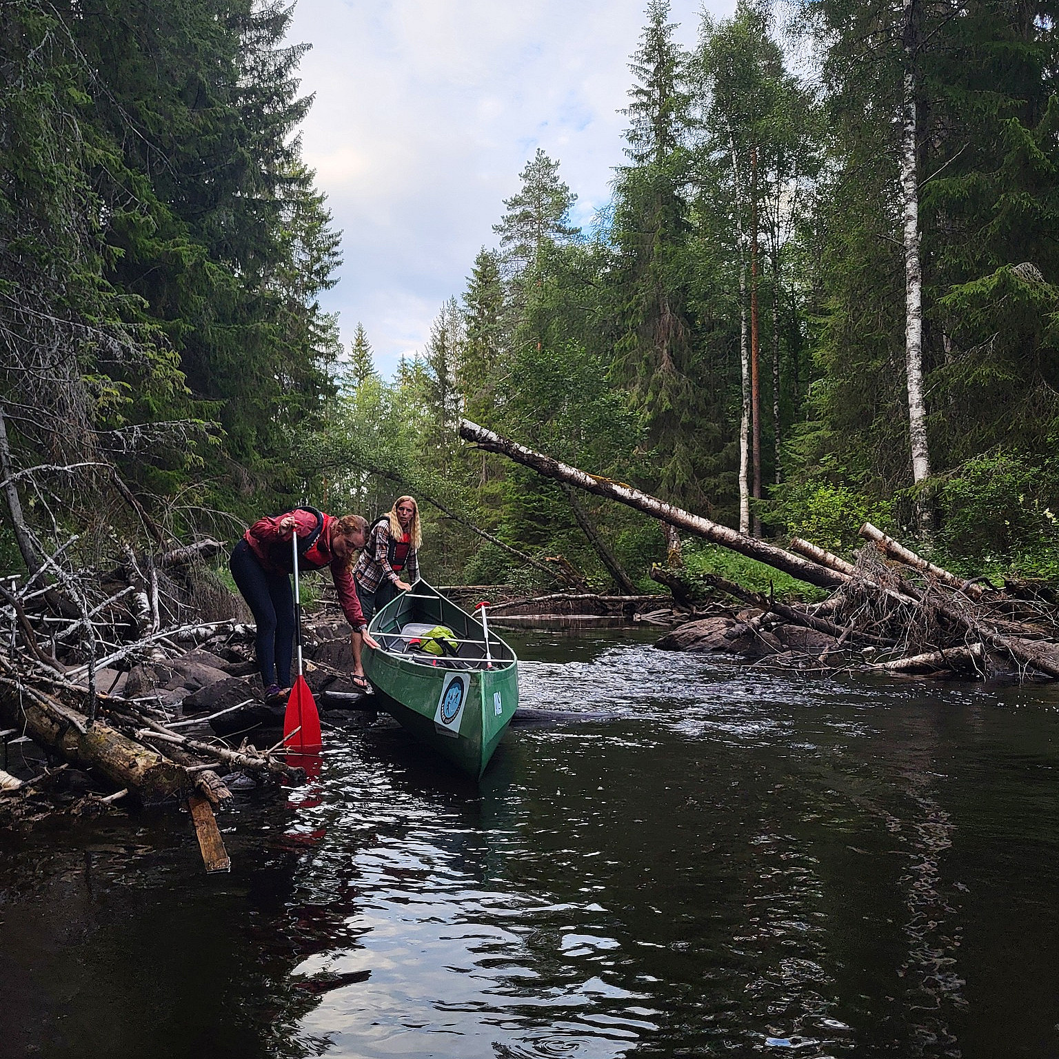 Beversafari for familien
