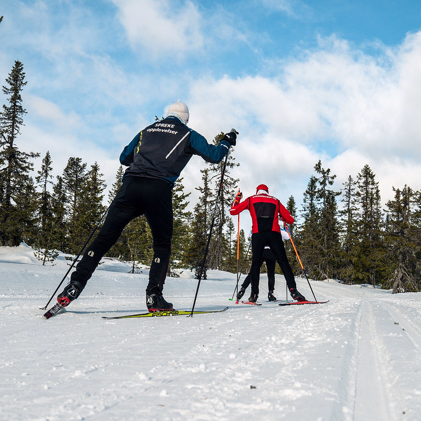 Skikurs privattime