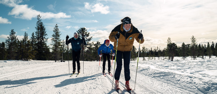 Tre personer går på langrenn i en snødekt løype under en blå himmel. Den fremste skiløperen har på seg en brun jakke og svarte bukser, mens de andre følger etter i blå jakker med grantrær i bakgrunnen.