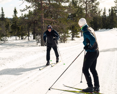 To personer som går på langrenn på en snødekt sti omgitt av høye trær.