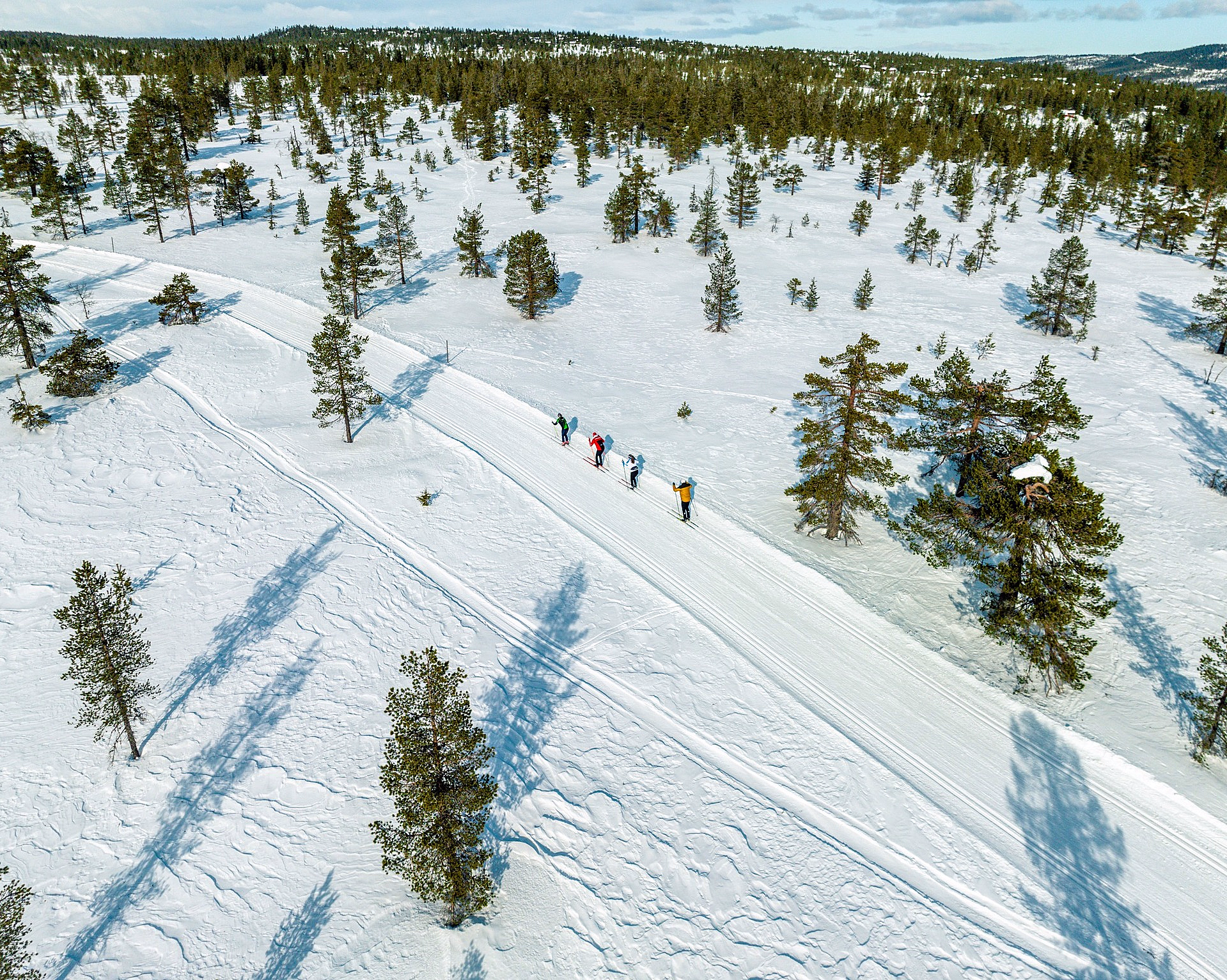 Fem personer i fargerike klær som går på ski langs en smal løype i et solfylt og snødekket landskap med bartrær.