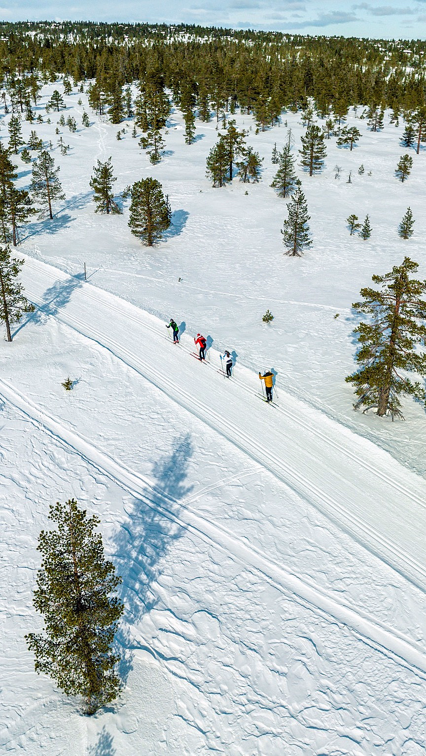 Fem personer i fargerike klær som går på ski langs en smal løype i et solfylt og snødekket landskap med bartrær.