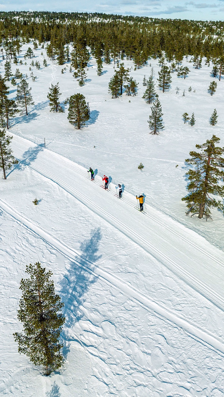 Fem personer i fargerike klær som går på ski langs en smal løype i et solfylt og snødekket landskap med bartrær.