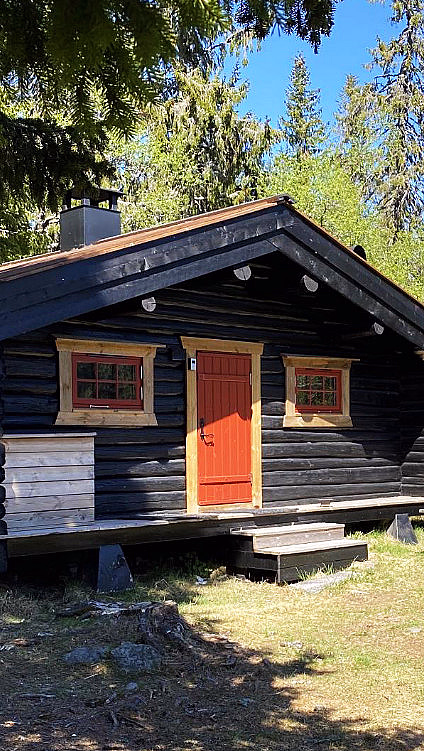 En rustikk tømmerhytte med mørke stokker og rød dør i en skog, med dyreskinn på veggen og et piknikbord i nærheten.