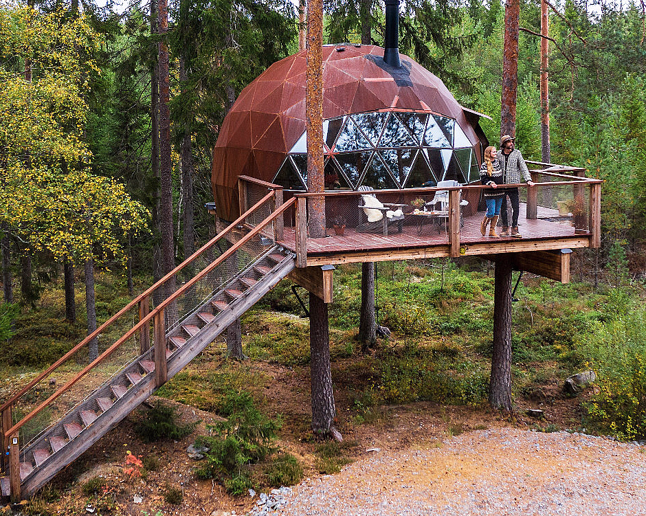 Tretopp Dome - image 1