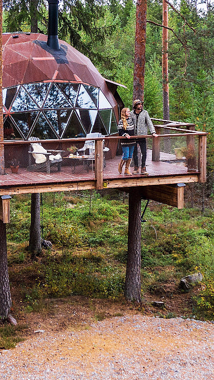 Tretopp Dome - image 1