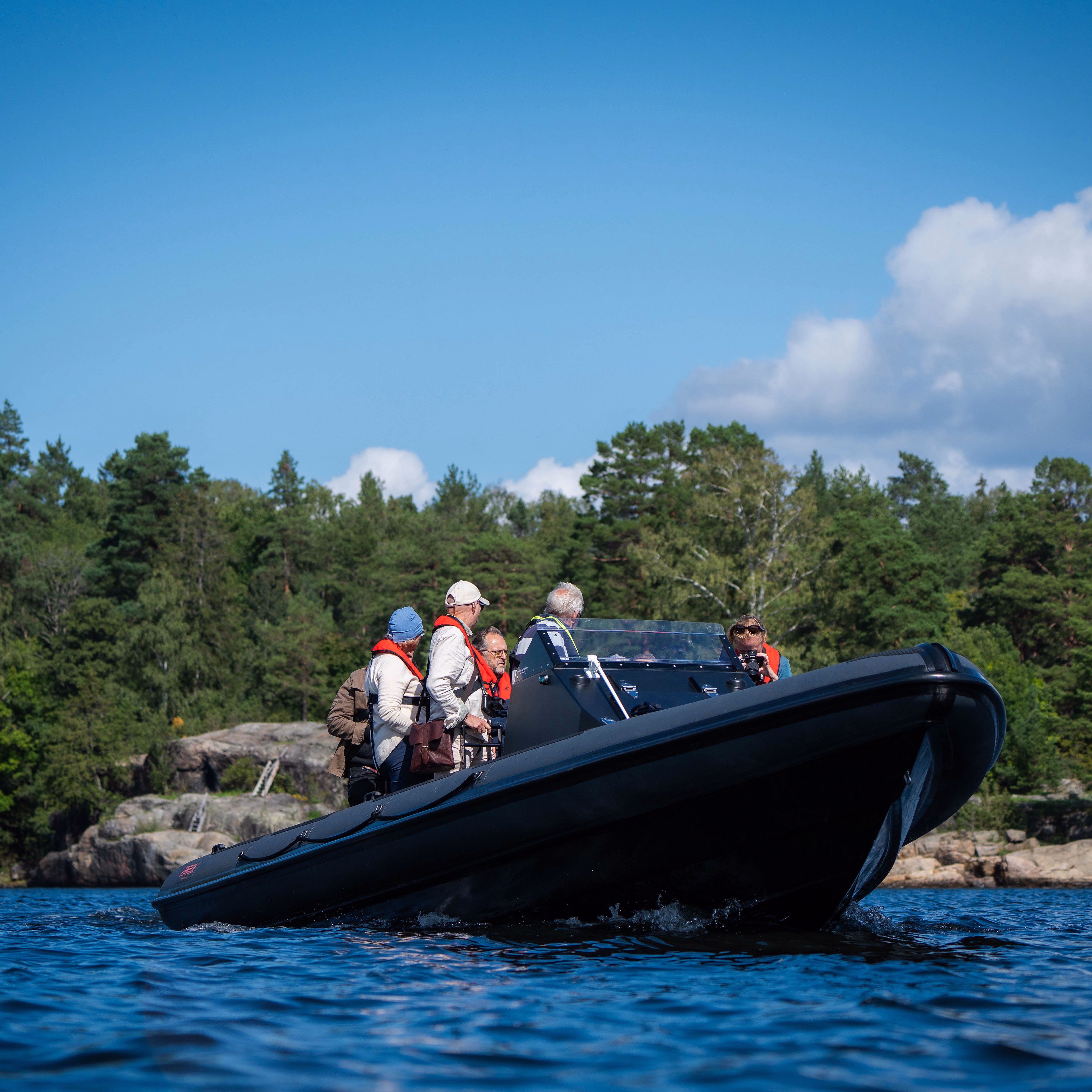 RIB safari - image 4