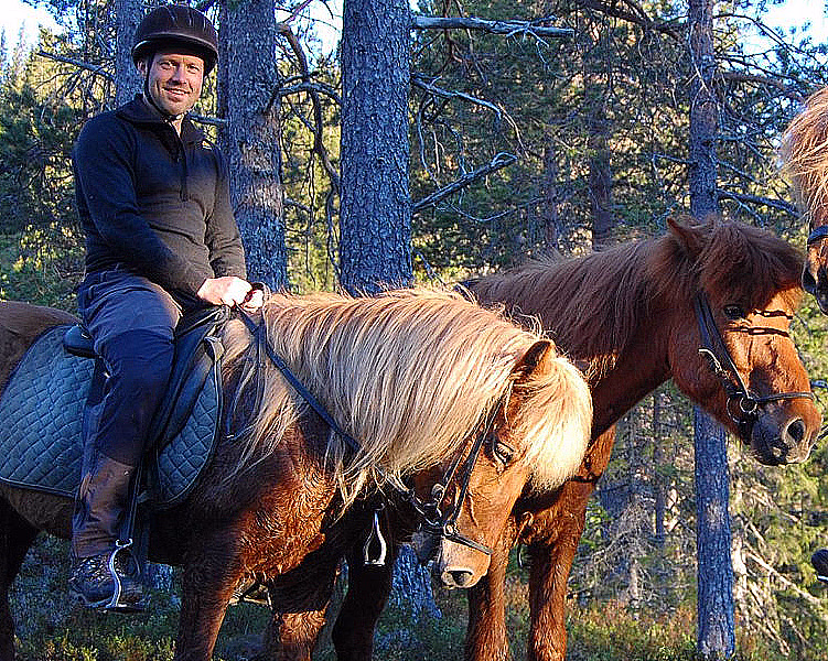 Halvdagstur på islandshest - image 1