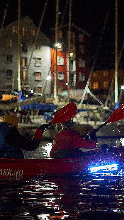 Glødende kajakktur langs Nidelven - image 3