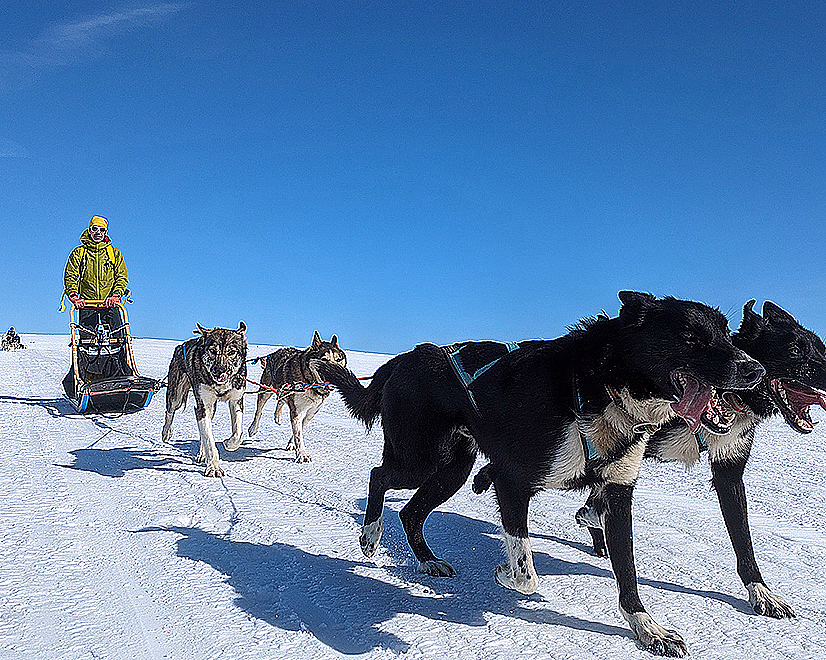 Hundekjøring heldagstur - image 1