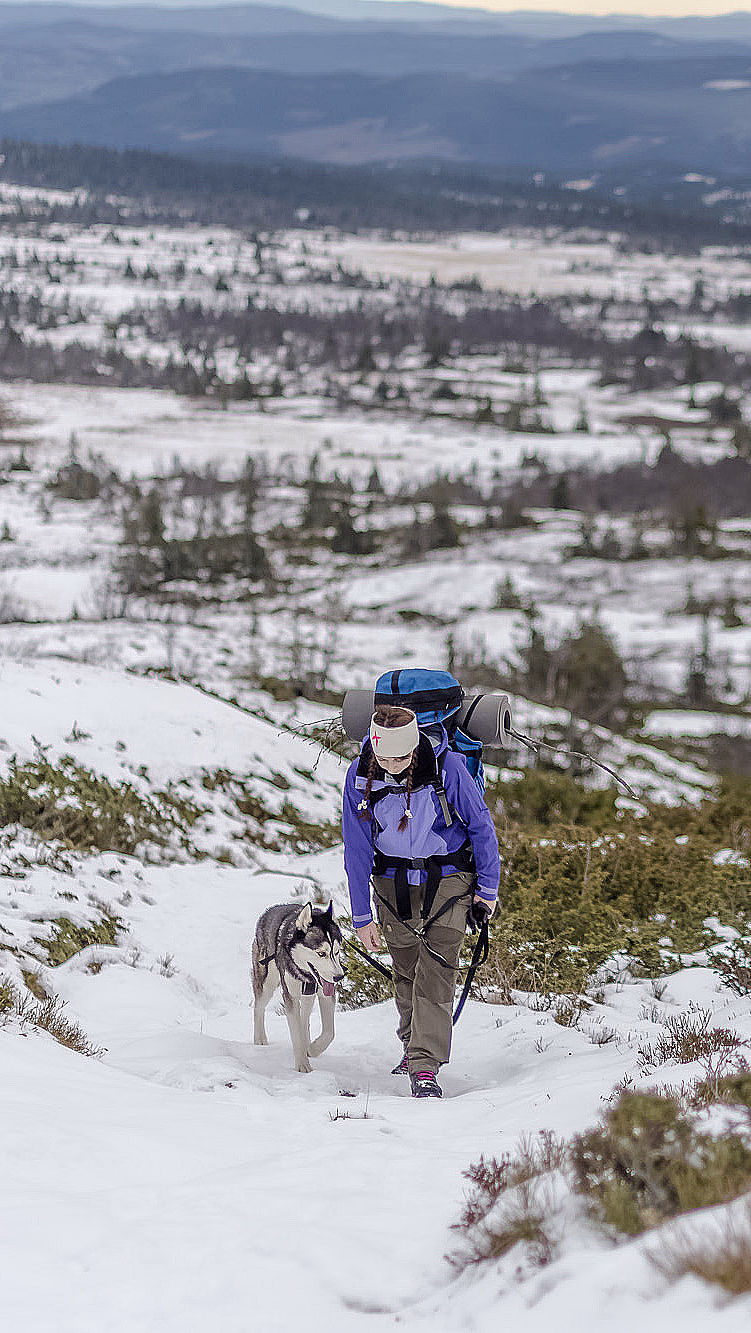 Husky hiking - image 1