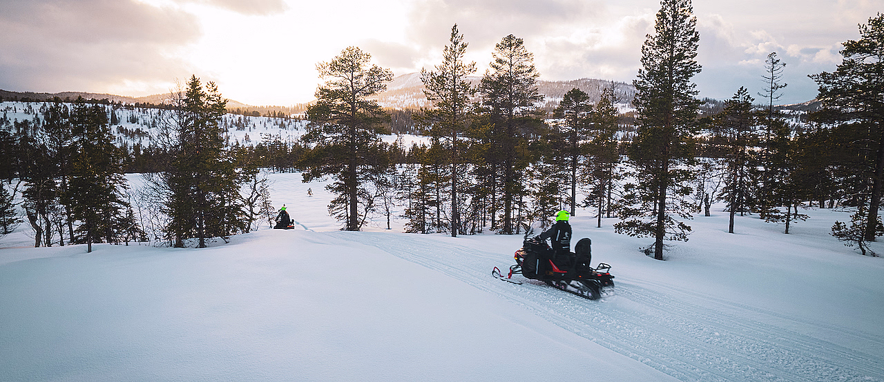 Snøscootersafari heldag - image 2