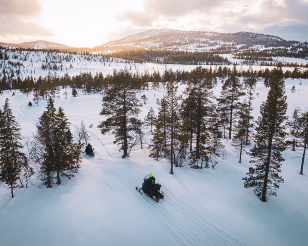 Snøscootere som kjører på rekke gjennom et snødekt skogslandskap i solnedgang