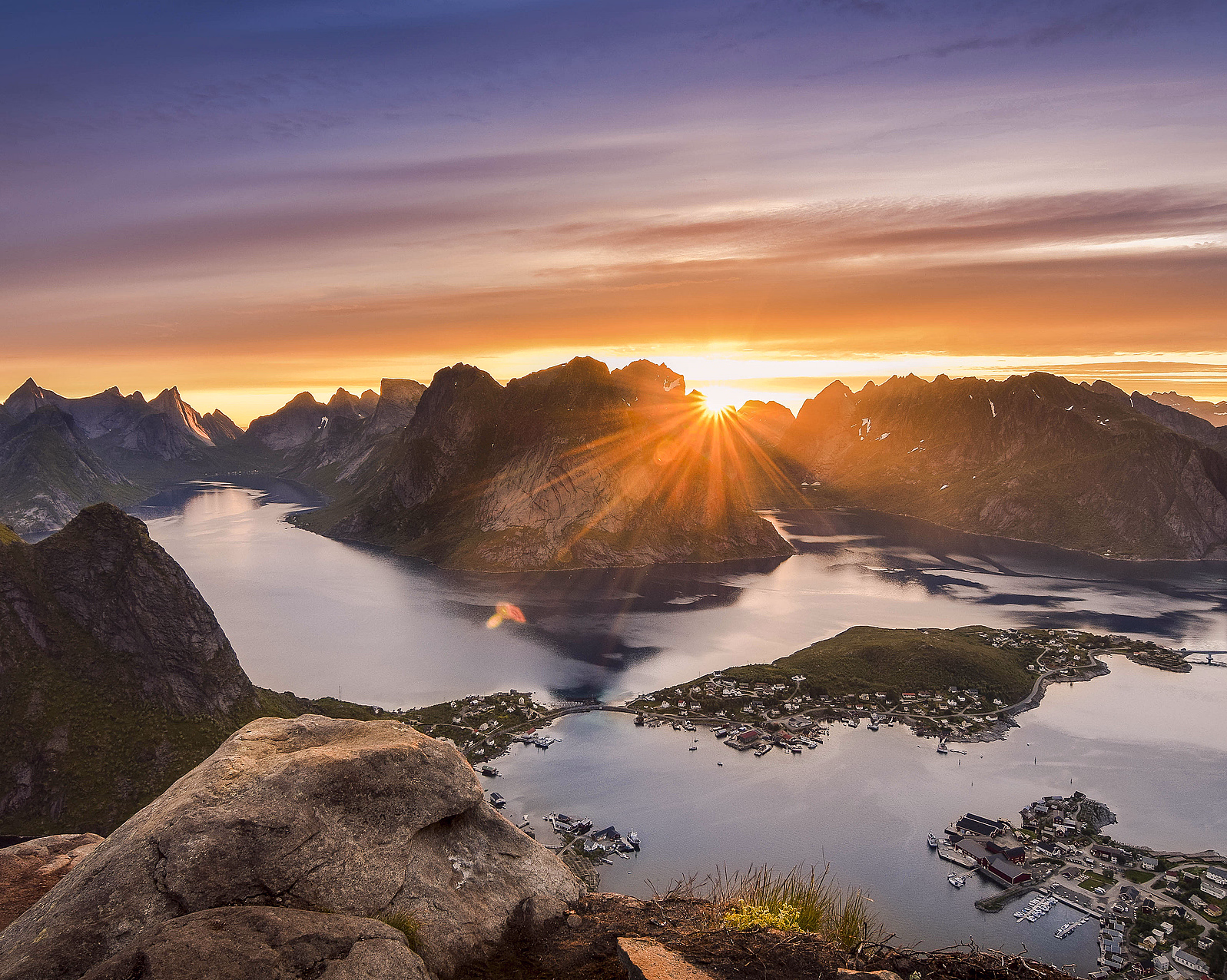 En søt oransje mus med en glorie av gullstjerner som holder et kamera ved en trestubbe, med en liten kylling i bakgrunnen.