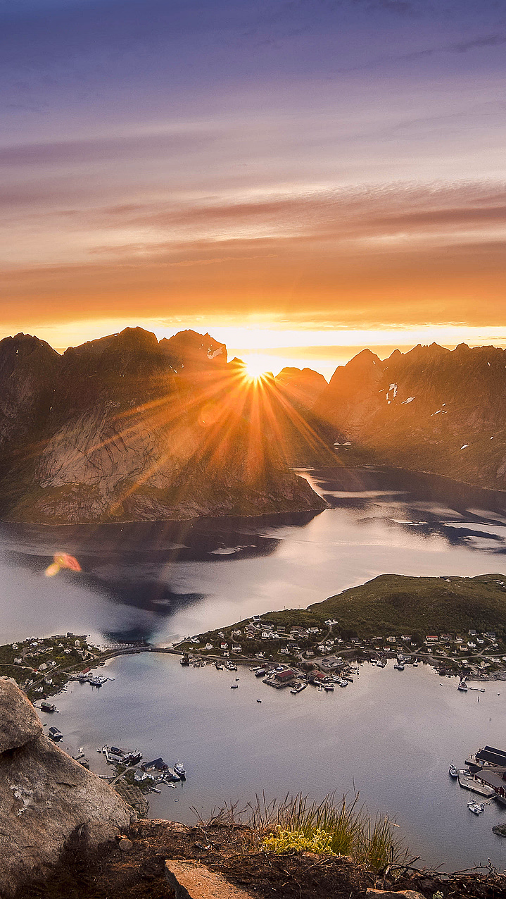 En søt oransje mus med en glorie av gullstjerner som holder et kamera ved en trestubbe, med en liten kylling i bakgrunnen.