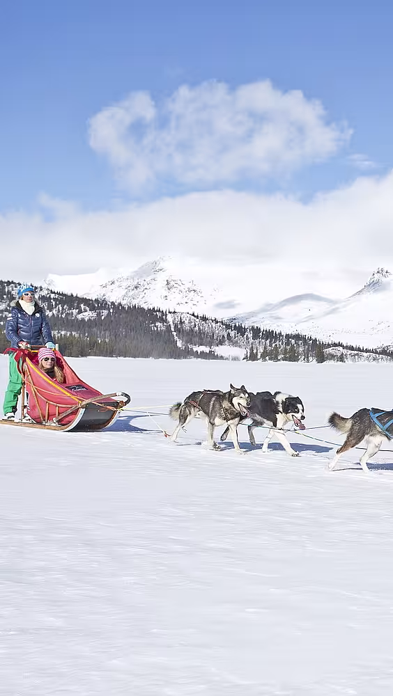 Hundespann som trekker en slede over et snødekt landskap med fjell i bakgrunnen