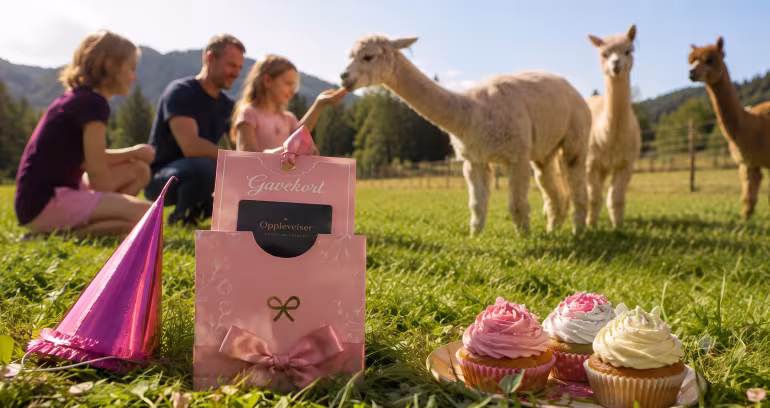 Gavekort og cupcakes på en gressplen med alpakkaer og en familie i bakgrunnen
