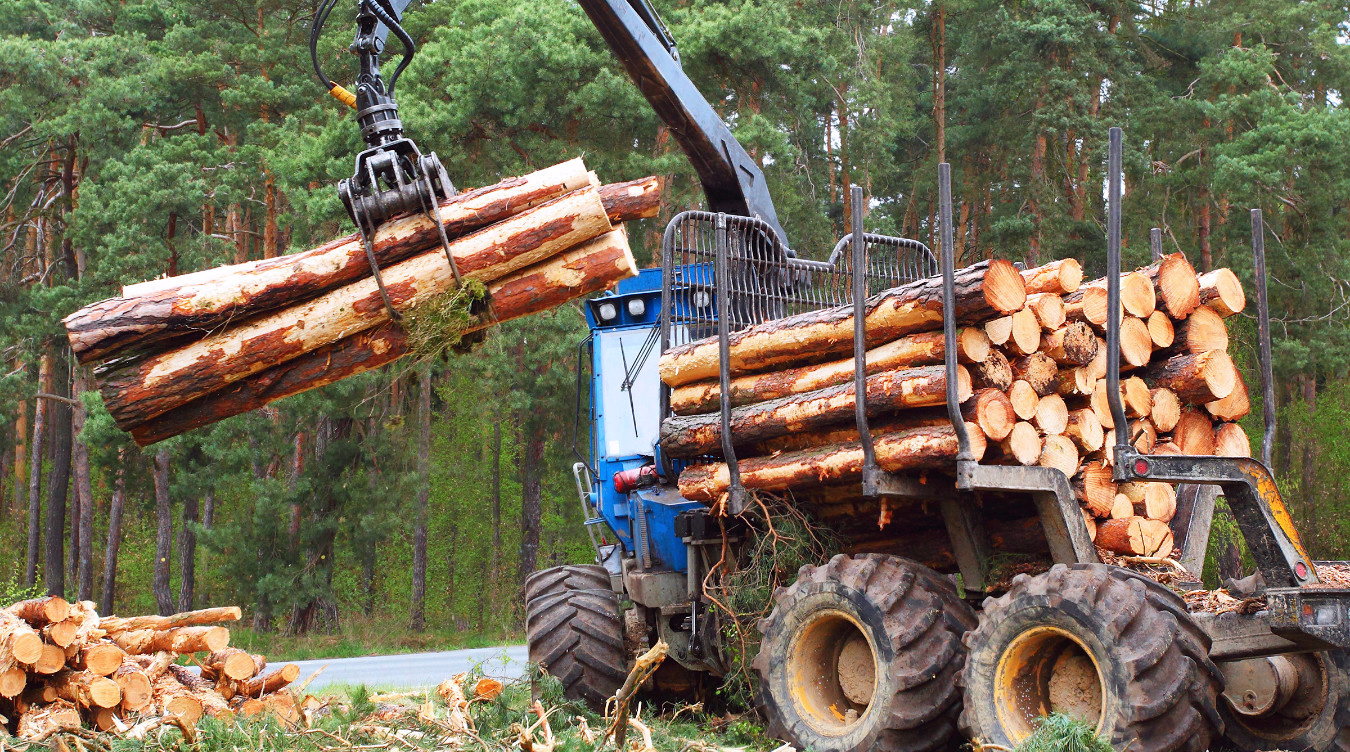 Blå skogsmaskin som løfter tømmerstokker med en kran i en skog