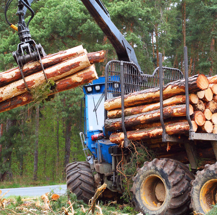 Blå skogsmaskin som løfter tømmerstokker med en kran i en skog