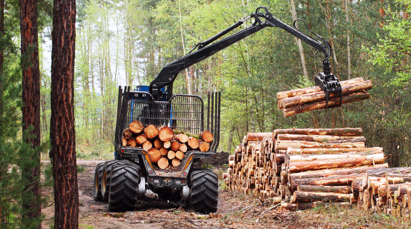 Blå skogsmaskin som løfter tømmerstokker med kran i en skog