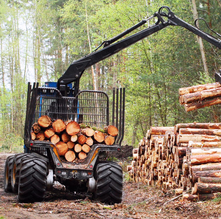 Blå skogsmaskin som løfter tømmerstokker med kran i en skog