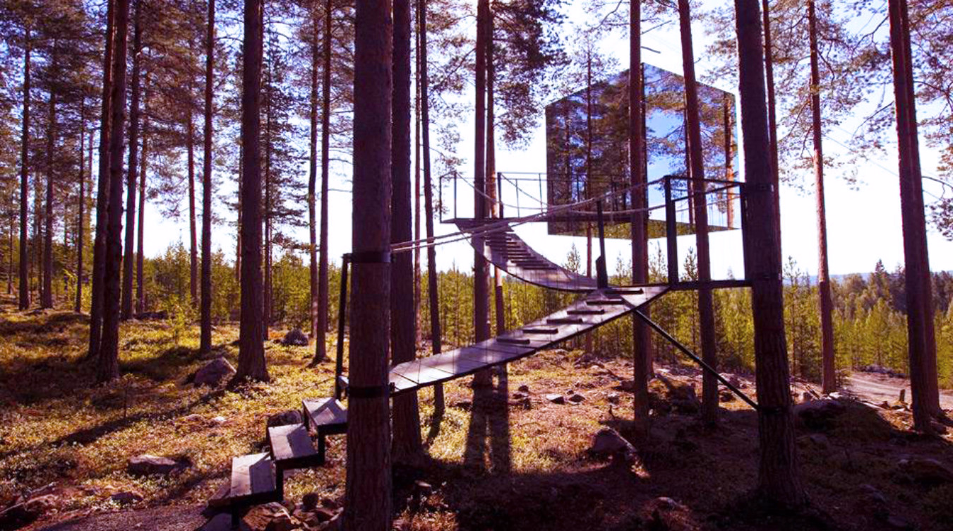 Kubeformet trehytte med speilvegger i en furuskog med en buet trapp