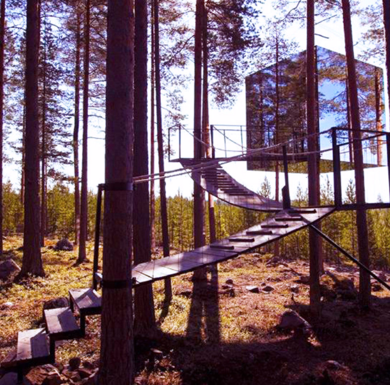 Kubeformet trehytte med speilvegger i en furuskog med en buet trapp