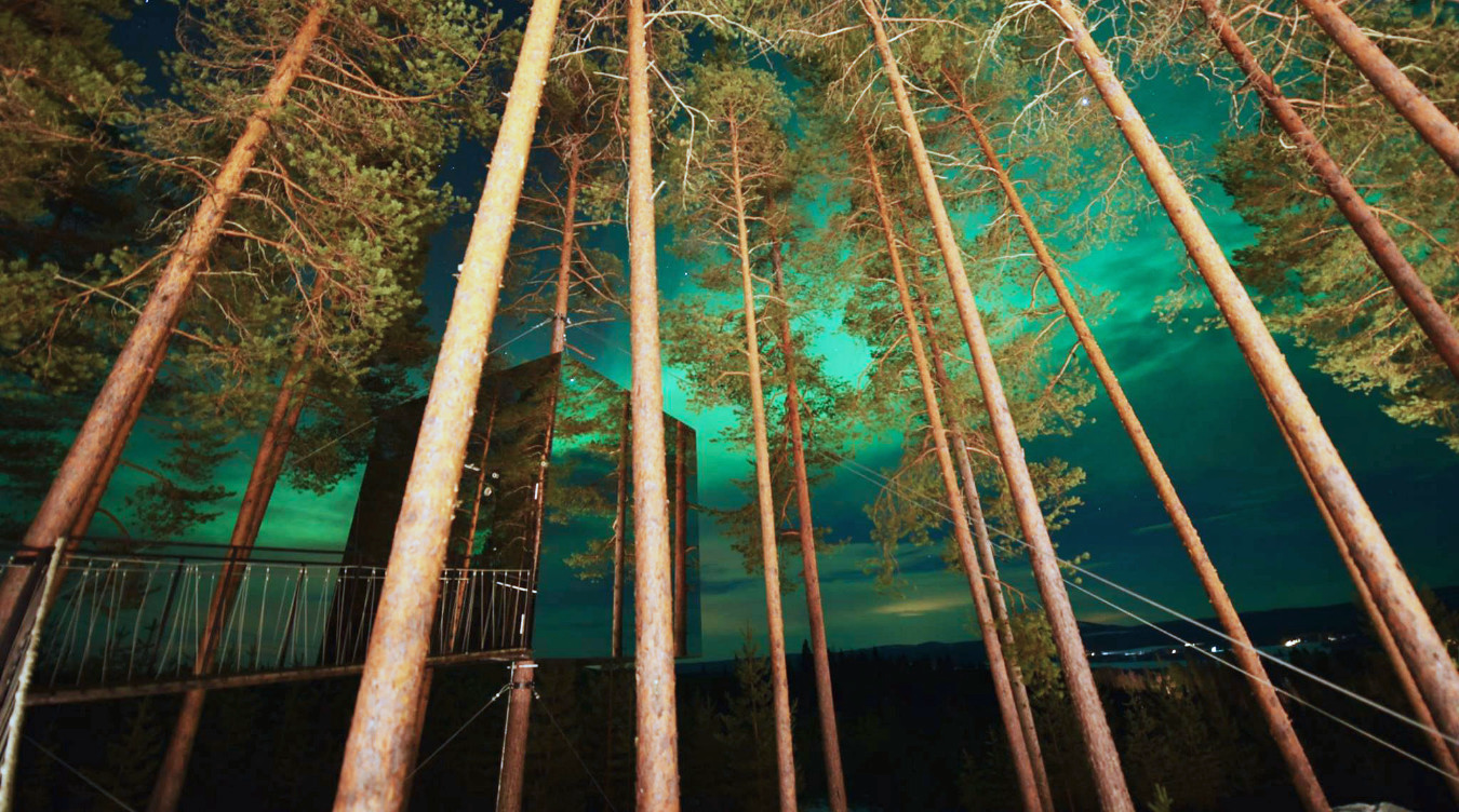 Speilbygning i skogen som reflekterer høye trær under grønn og blå natthimmel