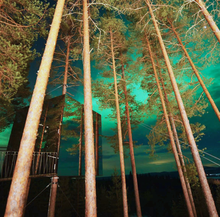 Speilbygning i skogen som reflekterer høye trær under grønn og blå natthimmel