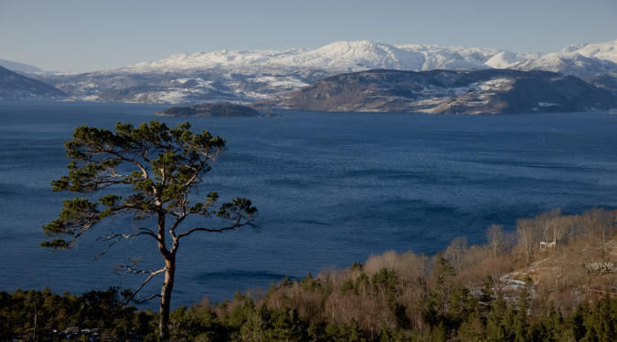 Panorama fjordhouse