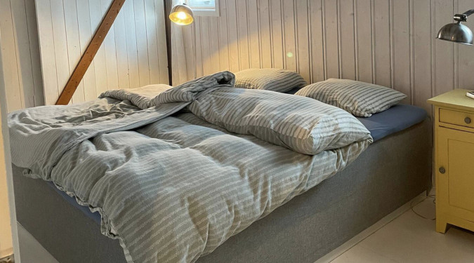 Stabbursnatt med alpakkaer