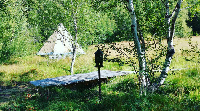 Sámi forest retreat